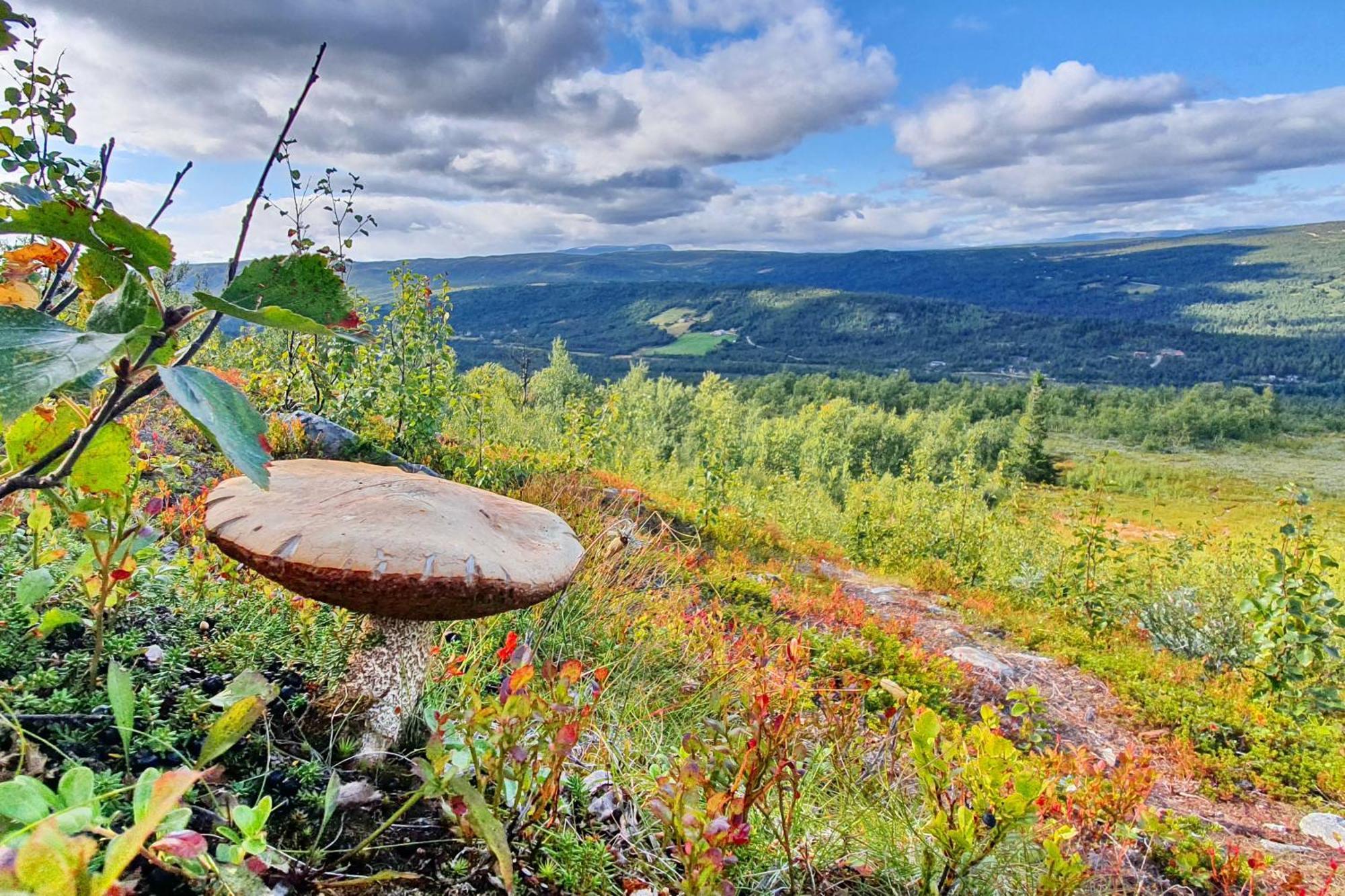 Active Adventure Base - Apartment & Lavvo, Dagali Fjellpark Екстер'єр фото